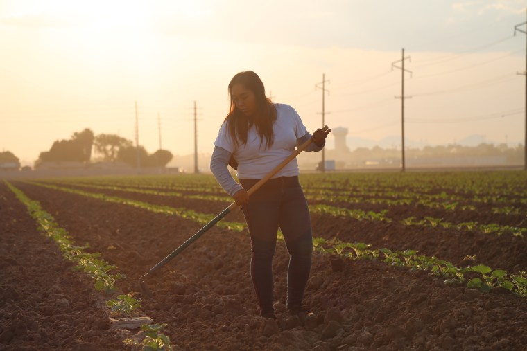On a mid-September morning, Jimena Aguilar, 17,  weeds a field to prepare for incoming crops on an Arizona farm.