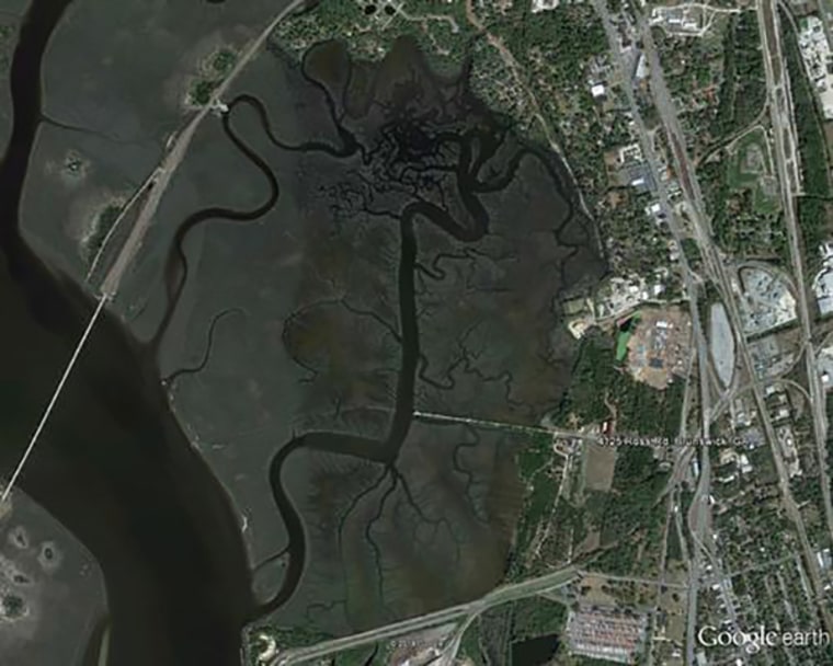 The LCP Chemical Superfund site in Brunswick, Ga., is mostly marsh.