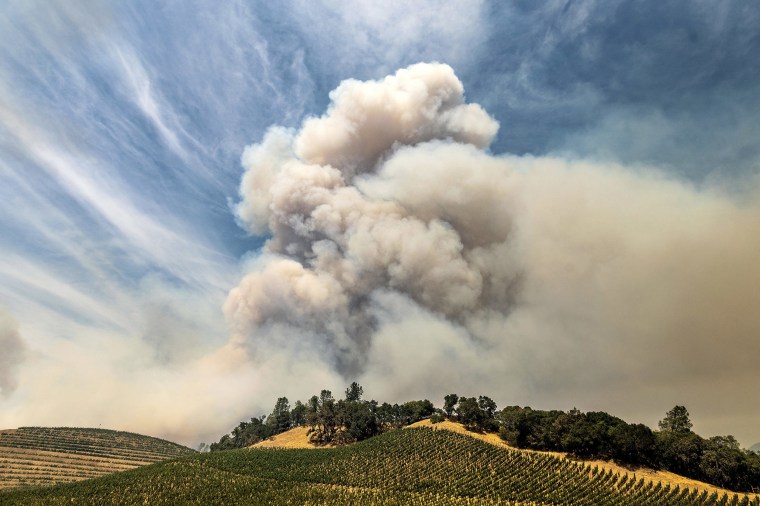 A plume rises over a vineyard in unincorporated Napa County as the Hennessey Fire burns on Aug. 18, 2020.