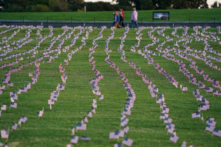 Image: 20,000 U.S. Flags Memorialize 200,000 Covid Dead Milestone On National Mall