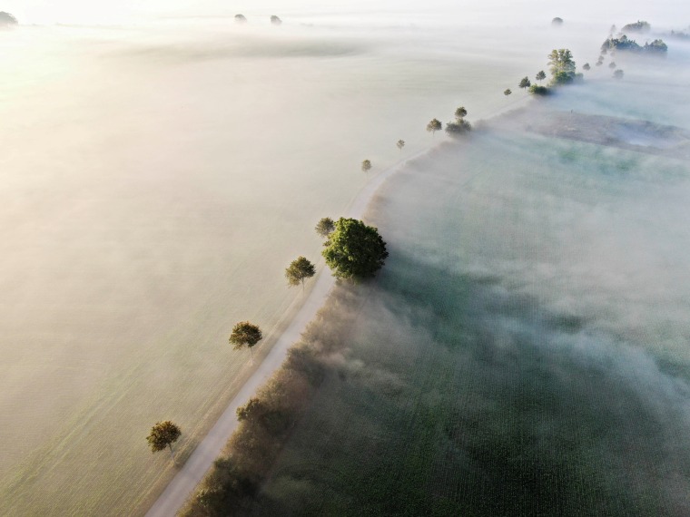 Image: Morning fog covers Denmark