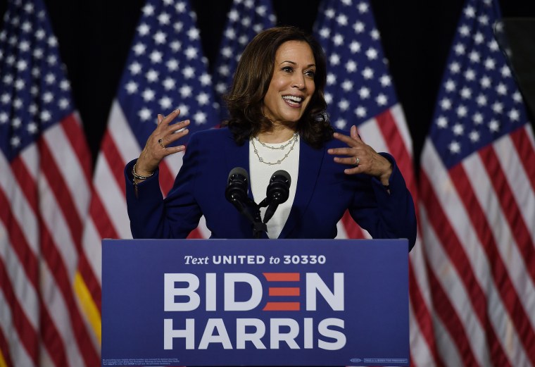 US-POLITICS-VOTE-DEMOCRATS-BIDEN-HARRIS