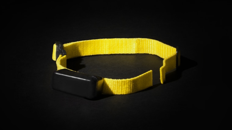 A yellow shock collar