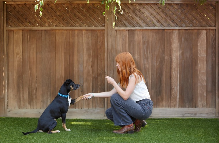 A woman teaches a dog to "shake" with positive training.