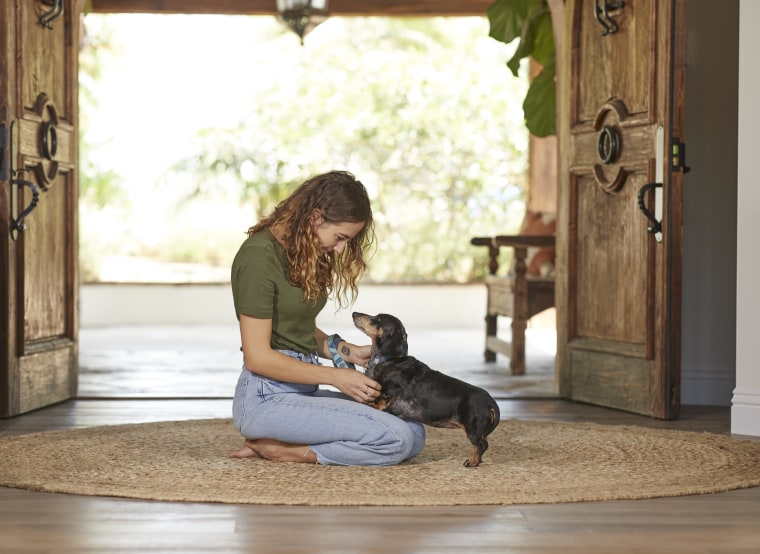 A woman and a dog gaze into each other's eyes