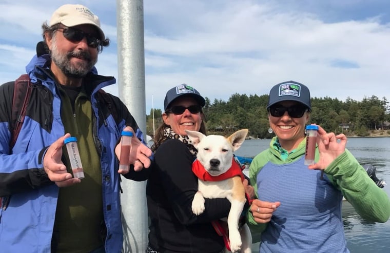 Whale biologists hold vials of whale poop found by a conservation canine.