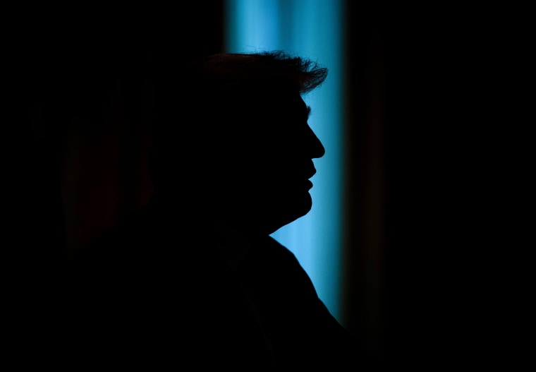 Image: Donald Trump profile, silhouette