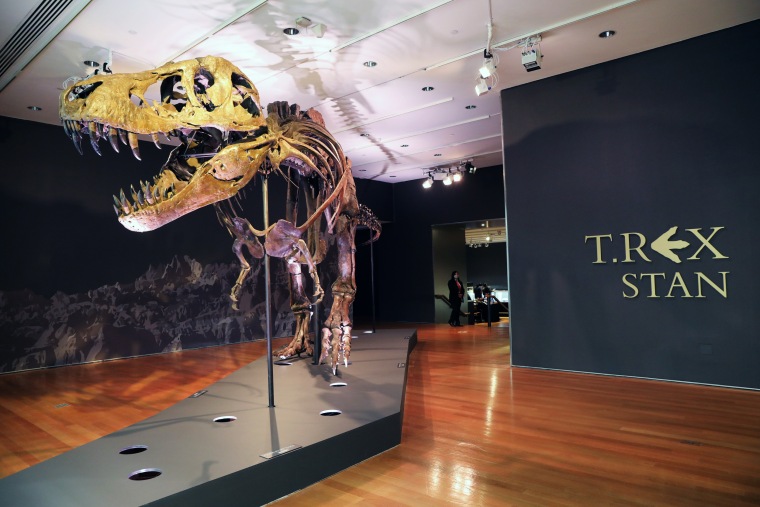 Image: Christie's Puts Tyrannosaurus Rex Skeleton Known As Stan On Display Ahead Of Its Auction