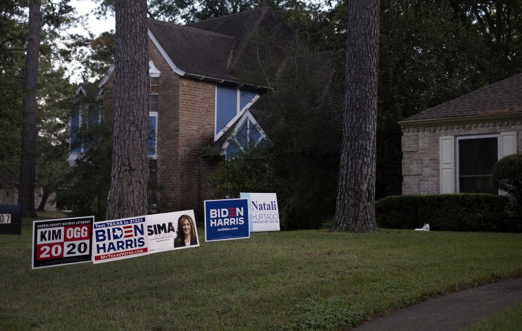Image: Biden Harris campaign signs and a white cat on the lawn of a home in Prestonwood Forest.