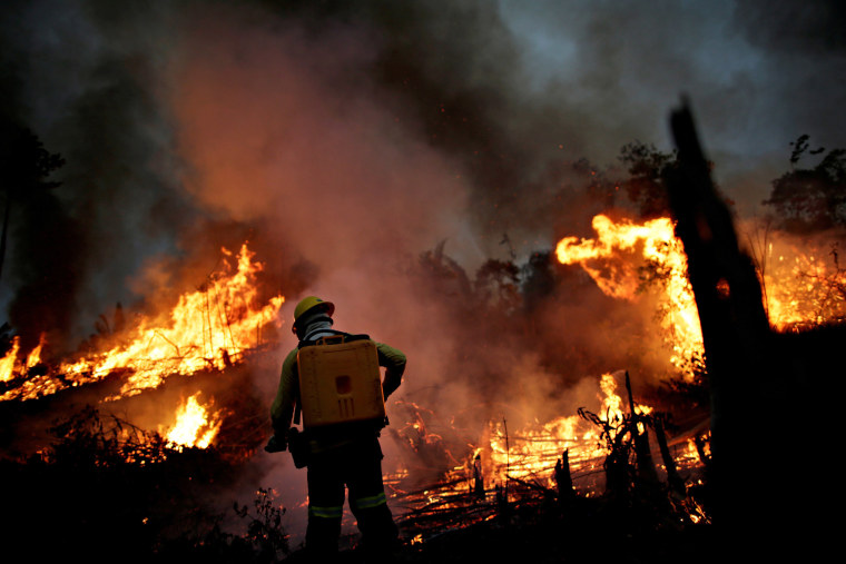 Image: A Brazilian Institute for the Environment and Renewable Natural Resources (IBAMA) fire brigade member attempts to control a fire in a tract of the Amazon jungle in Apui, Amazonas State, Brazil