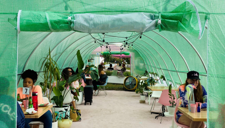Coconut Club’s greenhouse