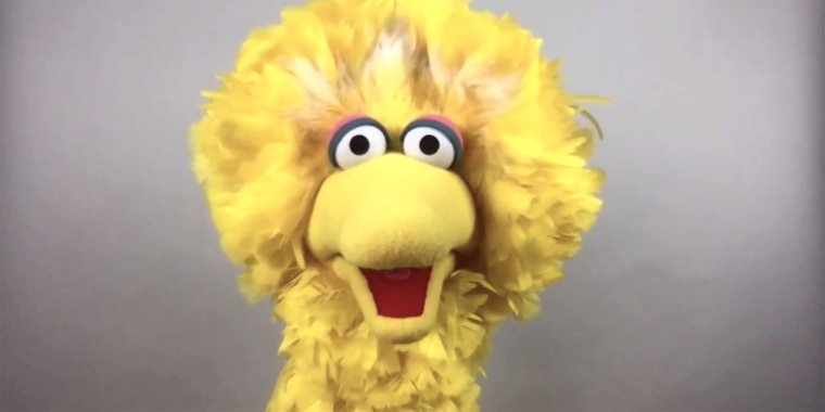 The first guest on the Sesame Street Foley and Friends Podcast is Big Bird. 