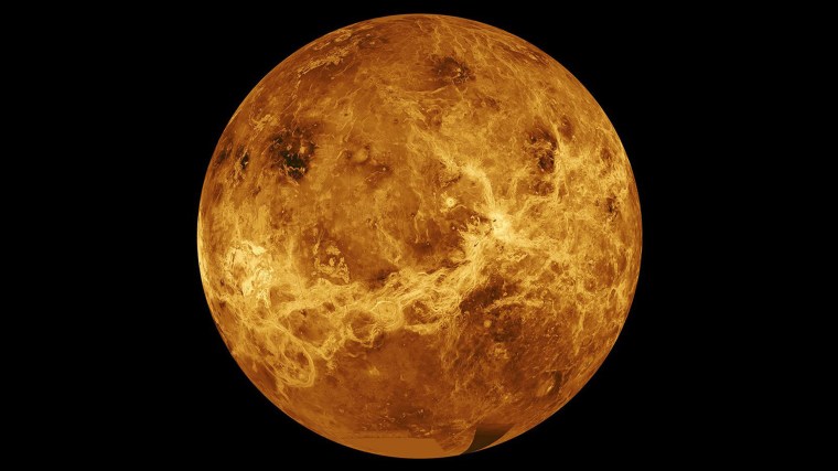 Image: The planet Venus in a composite of data from NASA's Magellan spacecraft and Pioneer Venus Orbiter.