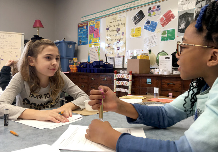 Image: Rather than have students jump ahead into the task of designing and building a shelter, Olmsted #64's gifted and talented teacher Maria Valenti-Barone had them stop and frame the problem.