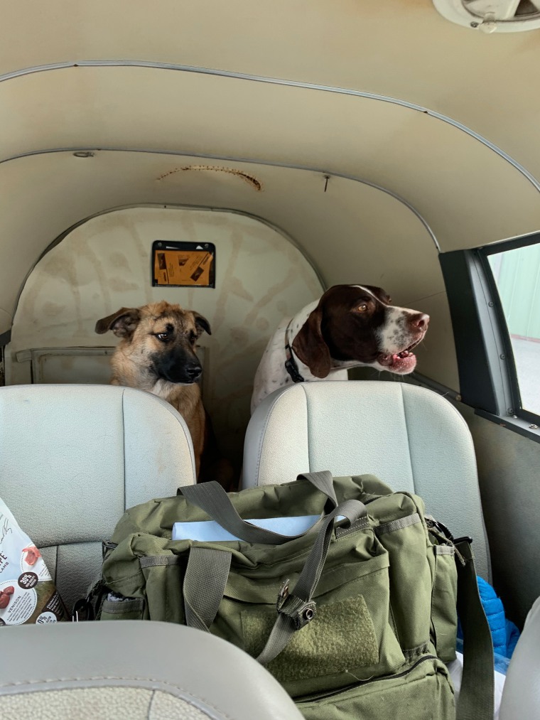 Hero and Frank are ready for takeoff.
