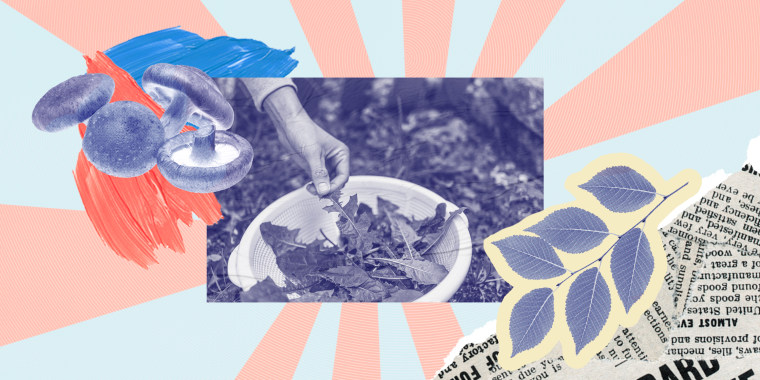 The future of America, according to an urban forager