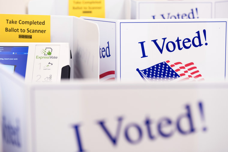 Image: Early Voting Underway In South Carolina