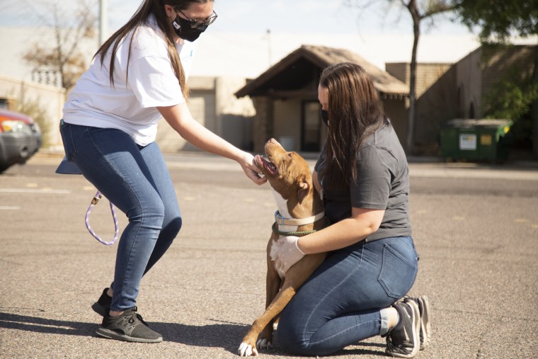 Lola meets new friends at the Arizona Humane Society