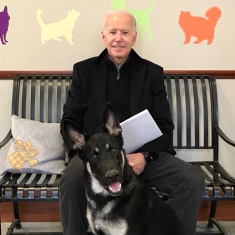 Joe Biden adopted his rescue dog Major in 2018.