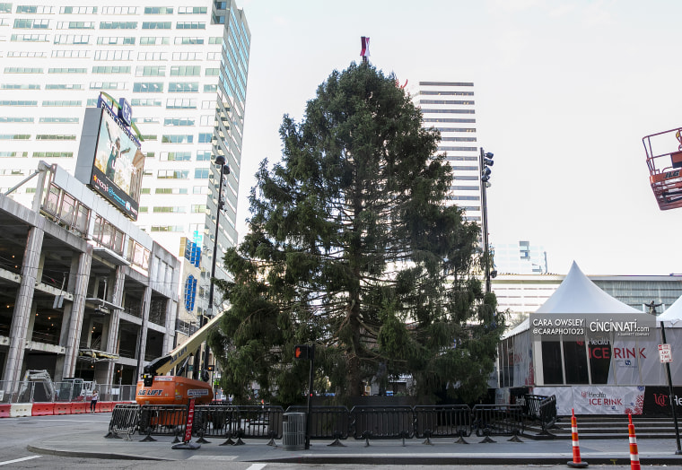 The Christmas Tree at Fountain Square