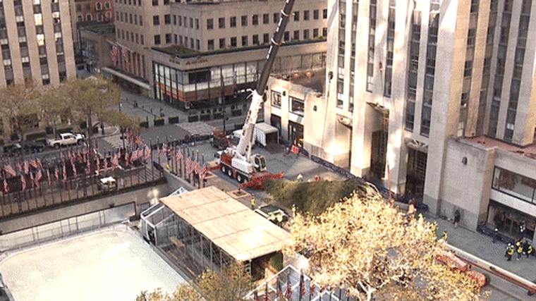 Crews set up the Rockefeller Center Christmas tree at Rockefeller Plaza in New York on Saturday, Nov. 14.