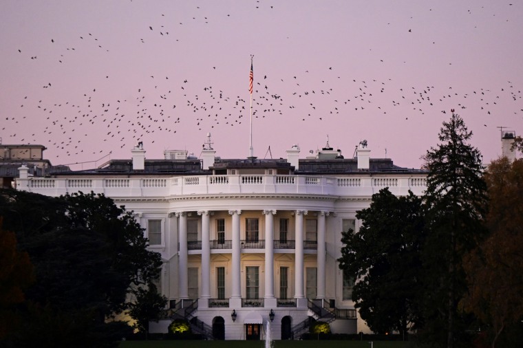 Image: Birds fly over the White House at dusk, the day after a presidential election victory was called for former Vice President Joe Biden, in Washington