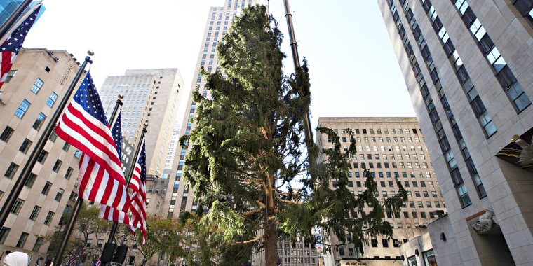 2020 Christmas Tree delivered to Rockefeller Center for holiday season