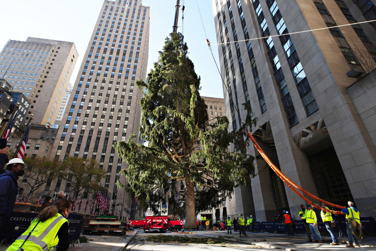 2020 Christmas Tree Delivered To Rockefeller Center For Holiday Season