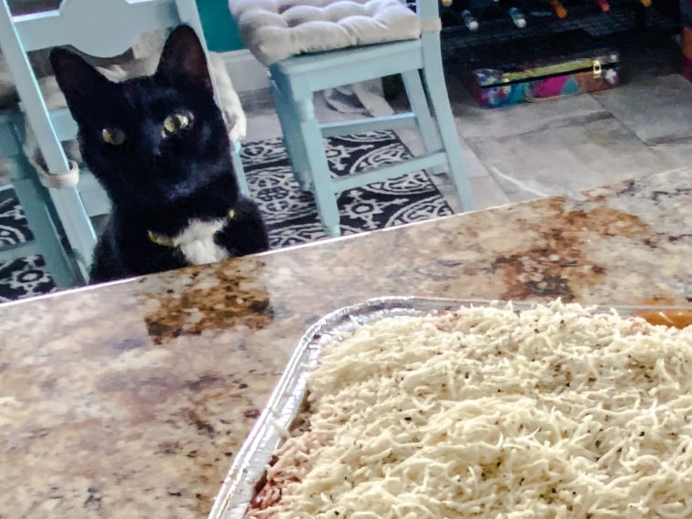 Even my cat, Anna-Kat, was mesmerized by the beautiful pasta dish.