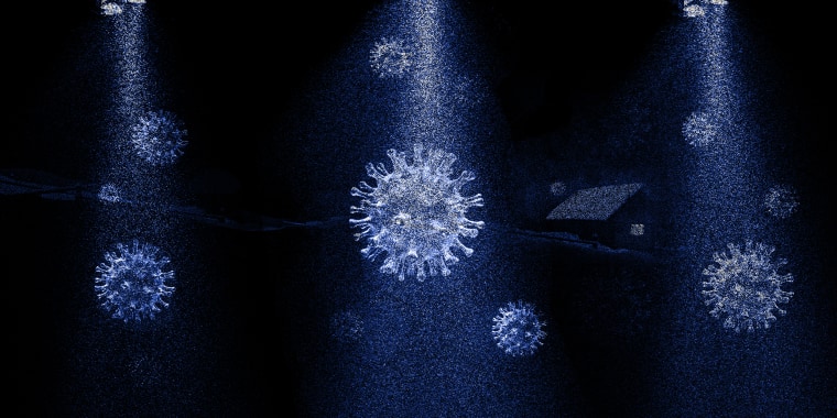 Image: A light falls to reveal falling flakes shaped like the COVID virus on a winter night; a single house is in the background.
