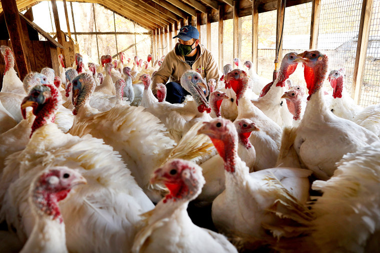 RI Turkey Farmers Adjust As Families Downsize Thanksgiving