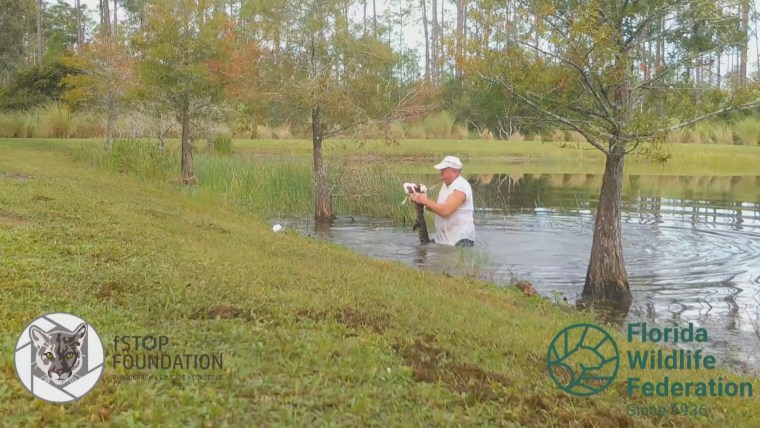 RIchard Wilbanks rescues his puppy Gunner from the mouth of a gator.