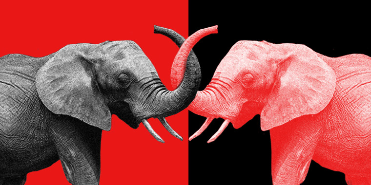 Image: Two elephants, one black and white and the other red, interlock their trunks against red and black backgrounds.