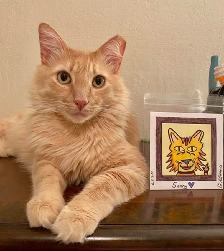 A cat with a portrait