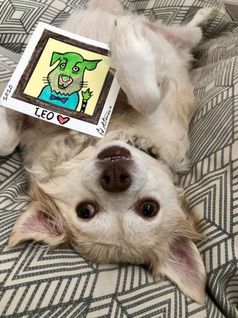A dog upside down with his portrait