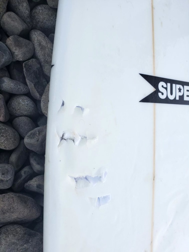 Image: A surfboard with bite marks from a shark attack in Seaside Cove, Ore.