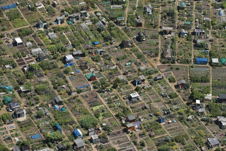 Image: Allotments in London, England.