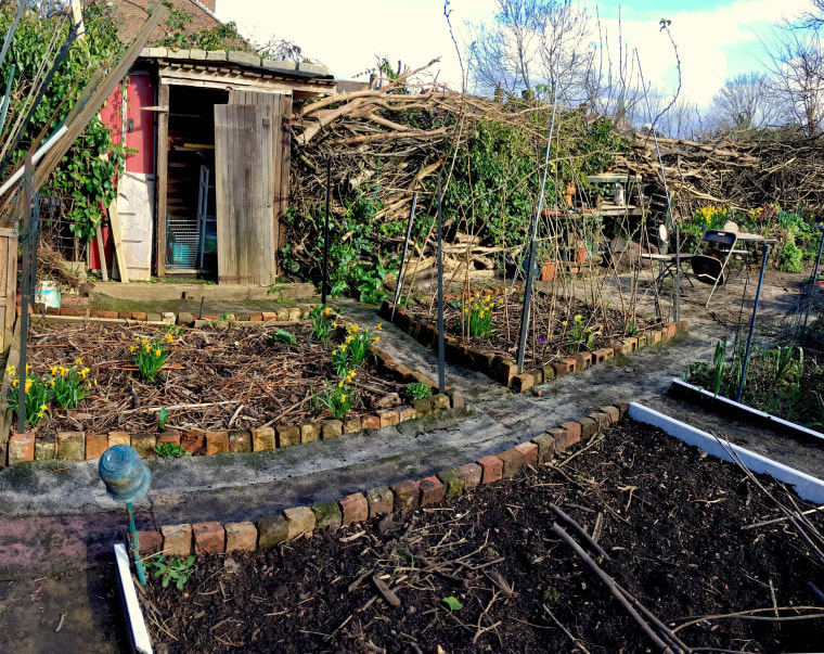 Image: Karen Peck's allotment in west London.