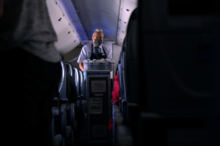 Image: flight attendant
