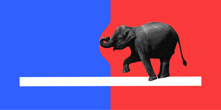 Flexible Trump Elephant