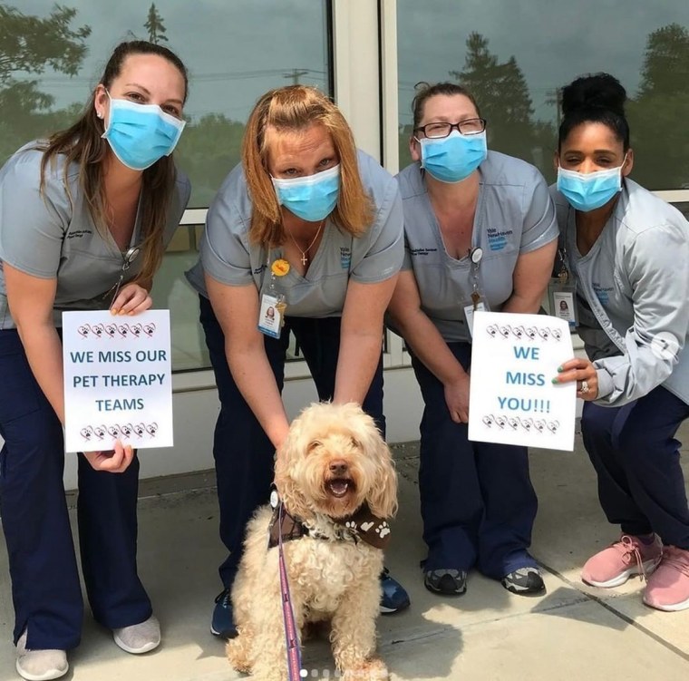 Therapy dog Cody with hospital staff.