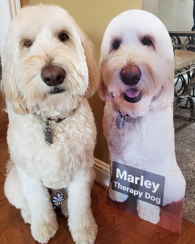Marley's life-size cutout brings comfort to families of hospice patients in the Nashville area.