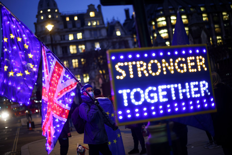 Image: Anti-Brexit protesters demonstrate outside the Houses of Parliament in London