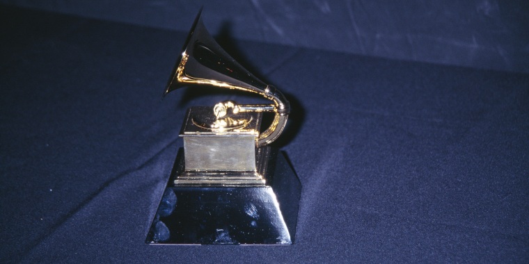 38th Annual Grammy Awards