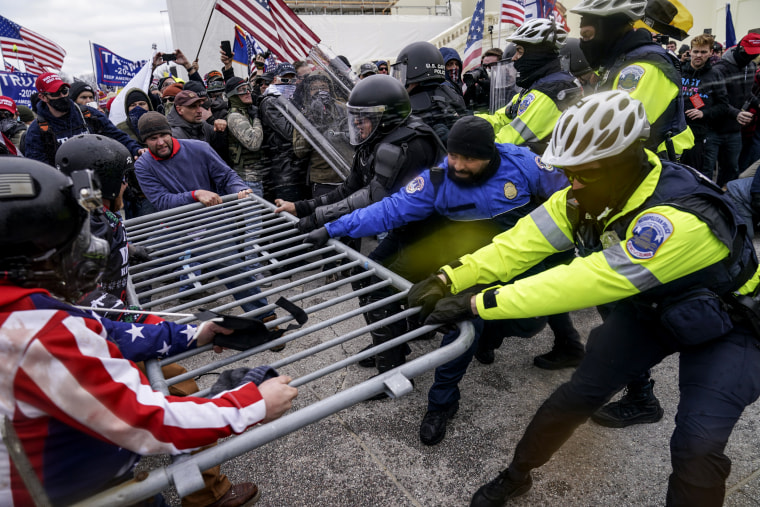 Image: Capitol protesters