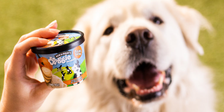This is the first time in Ben & Jerry's 42-year history that it has crafted a tasty treat specifically intended for an animal.