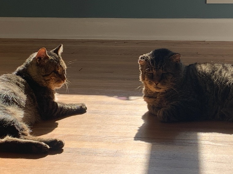 Floyd Mayweather and Sugar Ray Leonard enjoy sunlight.