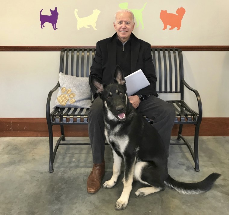 Joe Biden and his newly-adopted German shepherd, Major, at the Delaware Humane Association in Wilmington in 2018.