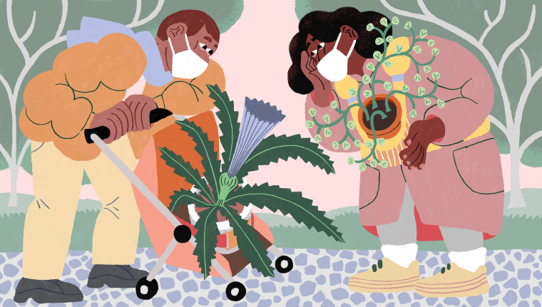 Image: Illustration of two people in masks cooing over a potted plant in a stroller, while another person carries a potted plant in a baby carrier.