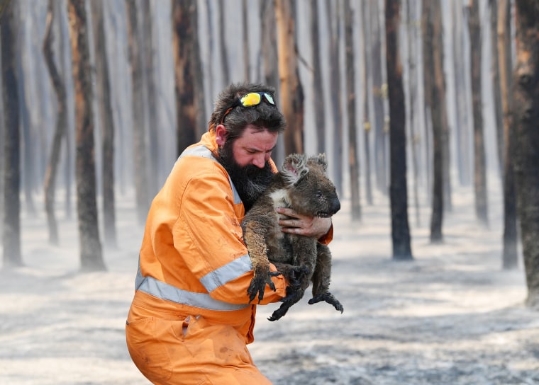 Wildlife rescuer Simon Adamczyk holds a rescued koala at a burning forest near Cape Borda on Kangaroo Island, southwest of Adelaide, Australia, on Jan. 7, 2020.